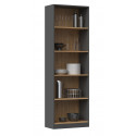 Topeshop R60 ANT/ART office bookcase