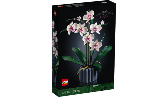 LEGO Botanical Collection Orhidee