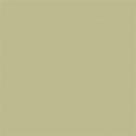 Superior Background Paper 13 Tropical Green 1.35 x 11m