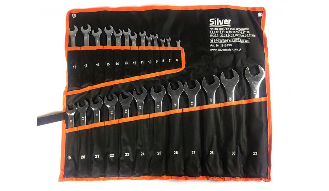 kombineeritud mutrivõtmete komplekt 25 tk hõbedane 6-32mm