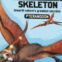 4M Izrakuma komplekts Pteranodons