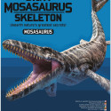 4M craft kit "Dig a Mosasaurus skeleton"