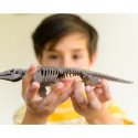 4M craft kit "Dig a Mosasaurus skeleton"