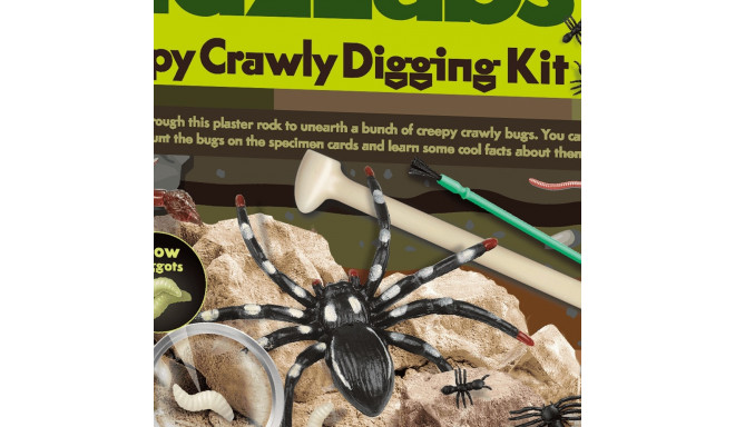 4M DIY set Creepy crawly digging