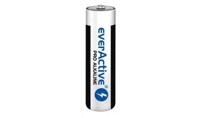 Alkaline batteries everActive Pro Alkaline LR6 AA - shrink pack - 10 pieces