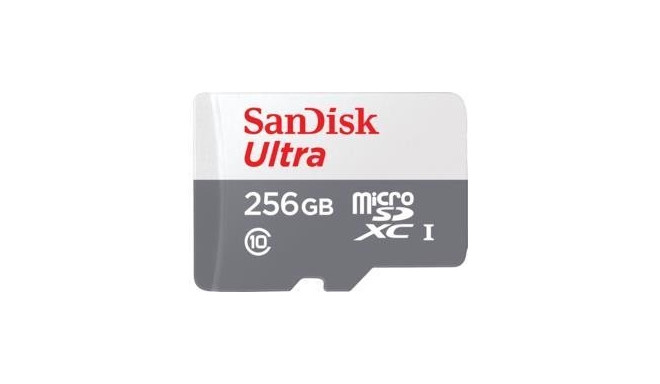 MEMORY MICRO SDXC 256GB UHS-I/SDSQUNR-256G-GN6TA SANDISK