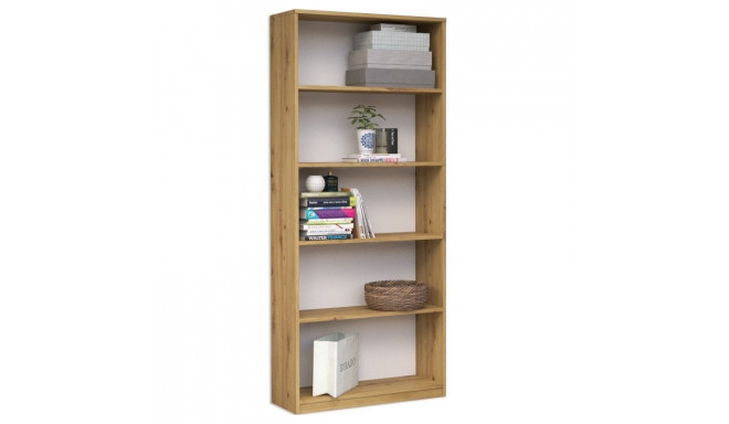 Topeshop R60 ARTISAN office bookcase