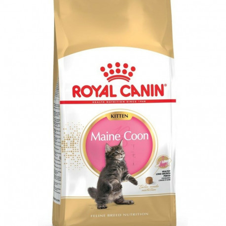Kassitoit Royal Canin Maine Coon Kitten Kana Linnud 4 Kg