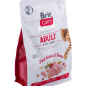 Kassitoit Brit Care Grain Free Activity Support Adult Täiskasvanu Kana Türgi 400 g