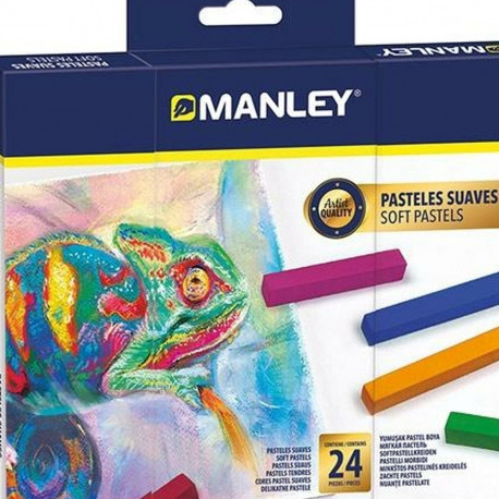 Cakes Manley Multicolour 24 Pieces