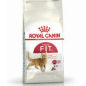 Kaķu barība Royal Canin Regular Fit 32 Pieaugušais Kukurūza Putni 400 g