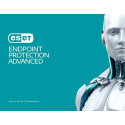 ESET Dynamic Endpoint Protection Years 1 User 11 - 25 Antivirus security Base 11 - 25 license(s) 1 y