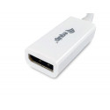 Equip Mini DisplayPort to DisplayPort adapter