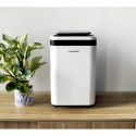 Dehumidifier with air purification function ADH501