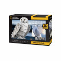 Puzzles 3D Snowy Owl