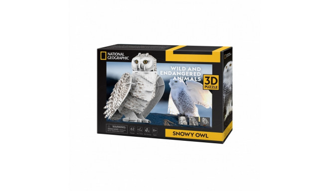 Puzzles 3D Snowy Owl