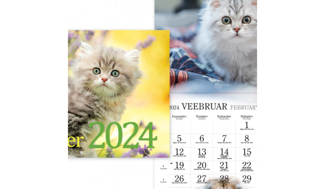 Seinakalender Kassikalender 2911600000