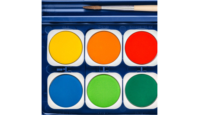 Paint box 12 colours