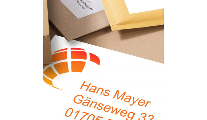 Kleebisetikett AVERY Zweckform 210x148mm 10 lehte (3655-10)