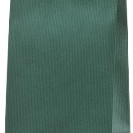 Kinkekott pudelile roheline