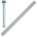 Scale ruler STAEDTLER 30cm (1:20/25/50/75/100/125)