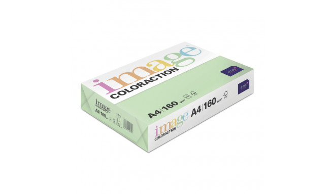Koopiapaber A4 160g pastellroheline (Forest/PastelGreen) nr.65  250lehte pakis