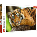 TREFL Puzle Tiger, 500 gab.