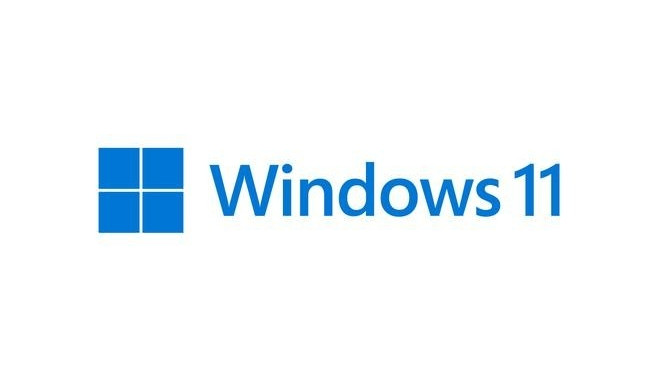 Microsoft Windows 11 Pro