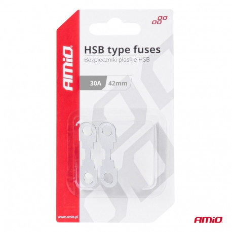 Lehtkaitse HSB 2tk 42*12mm 30A