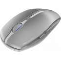 Cherry Gentix BT, mouse (silver)