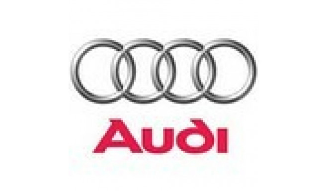 Keyring Audi with logo, metal.