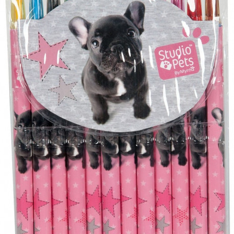 Paso PEI-3230 Studio Pets 12pcs Rotate Crayons