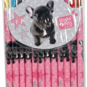 Paso PEI-3230 Studio Pets 12pcs Rotate Crayons