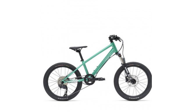Vaast Y/1 MOUNTIAN Noorte jalgratas, 20'', GLOSS TEAL