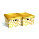 FOLDABLE CART BOX33X25X18CM 2 GOLD DOTS