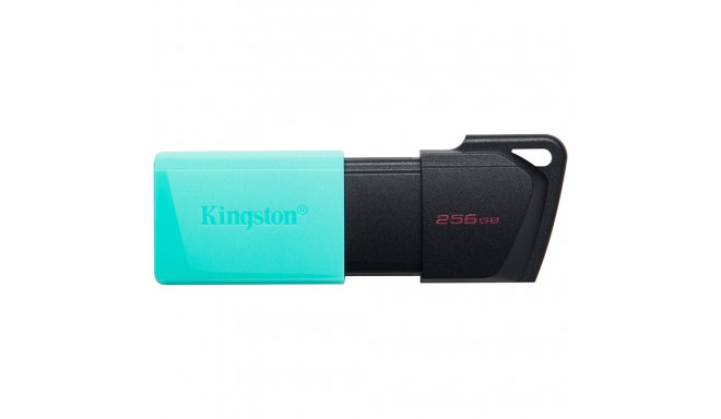 Kingston 256GB USB3.2 Gen1 DataTraveler Exodia M (Black + Teal)