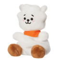 Line Friends plush toy Palm Pals RJ BT21 13cm