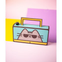 Pusheen juhtmevaba kõlar DIY Boombox
