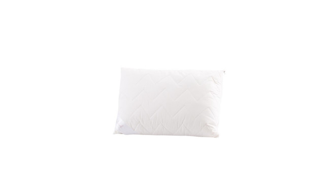 PILLOW 50X70 DAIGST. 600G SU VILNA