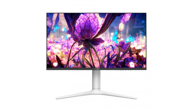 Monitor Koorui GN10 27" 2560x1440px 240Hz