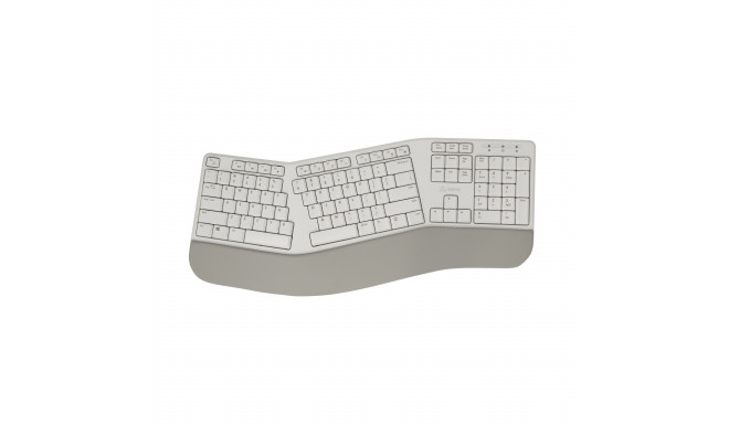 Sbox WK-905 US Beige