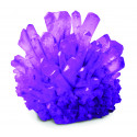 NATIONAL GEOGRAPHIC set Crystal Grow Purple, 