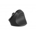 Wireless mouse vertical Crake 2