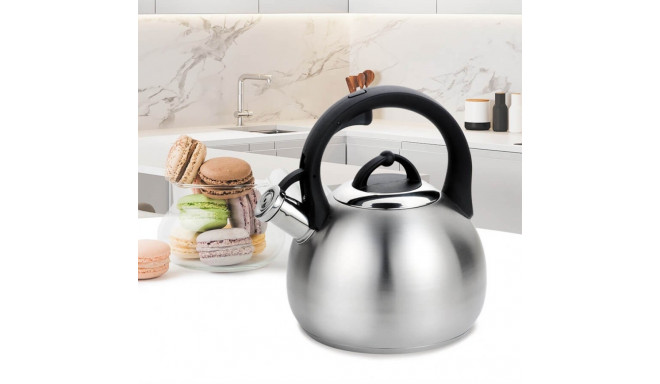 MAESTRO MR-1311 kettle