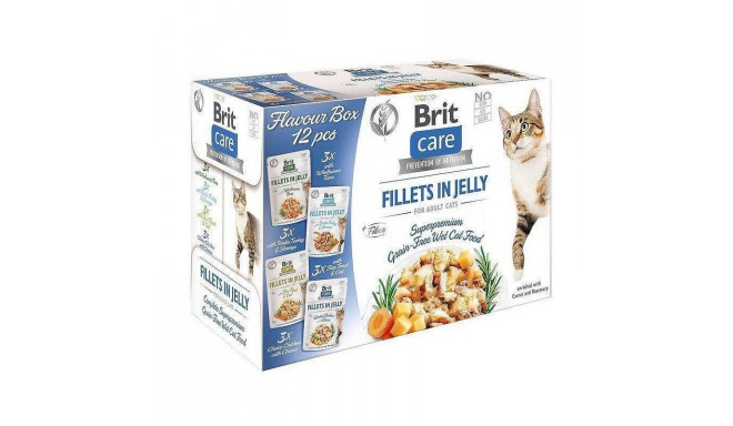 BRIT Care fileed tarretises maitsekarp - märg kassitoit - 12 x 85g