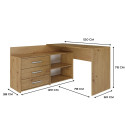 Topeshop DANY ARTISAN KPL computer desk Oak colour