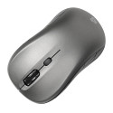 iBOX i009W Rosella wireless optical mouse, grey