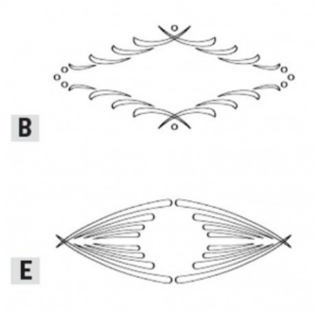 CARVER TEMPLATE HANDLE SURROUND ´´FLORENTINE´´