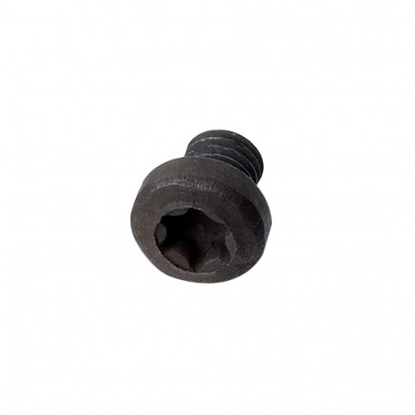 Kruvi TSPTI torx T25 M5x5x8