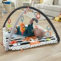 Fisher-Price 3-In-1 Music, Glow And Grow Gym